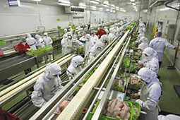 Agroindustrial - Ingenieria de equipos